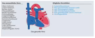 Heart animation - Basic