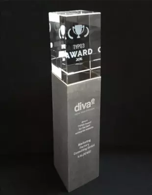 TYPO3 Award