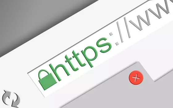 SSL encryption icon image