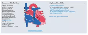 Heart animation - Component of the heart and heart defect